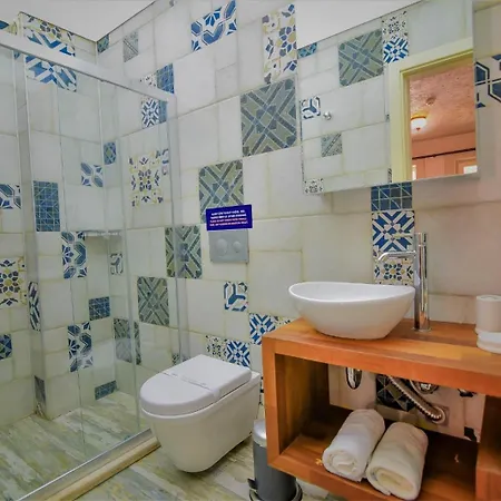 Micel * 알라카티